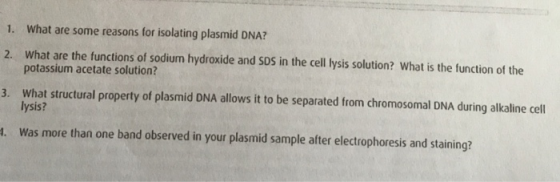 1. What are some reasons for isolating plasmid DNA? 2. What are the functions of sodium hydroxide and SDS in the cell lysis s