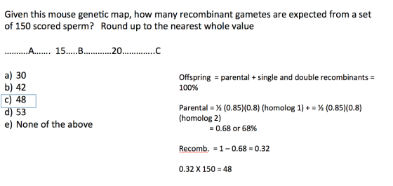 Given this mouse genetic map, how many recombinant gametes are expected from a set of 150 scored sperm? Round up to the nearest whole value recombinant scored sperm? Round 15....B 2 .c a) 30 b) 42 c) 48 d) 53 e) None of the above Offspring - parental +single and double recombinants 100% Parental-X (0.85)(0.8) (homolog 1) + = ½ (0.85)(0.8) (homolog 2) = 0.68 or 68% Recomb.10.68 0.32 0.32 X 150 = 48