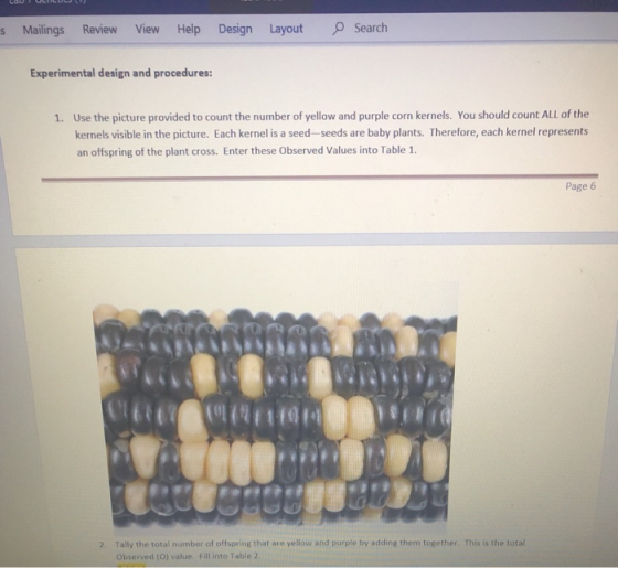 5 Mailings Review View Help Design Layout Search Experimental design and procedures: 1. Use the picture provided to count the