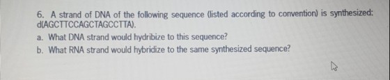 6. A strand of DNA of the following sequence (isted according to convention) is synthesized: d(AGCTTCCAGCTAGCCTTA a. What DNA strand would hydribize to this sequence? b. What RNA strand would hybridize to the same synthesized sequence?
