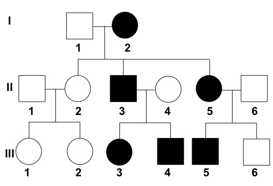 1 1 N II 1 3 4 5 6 N = 1 2 3 4 5 6