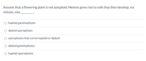 Assume that a flowering plant is not polyploid. Meiosis gives rise to cells that then develop, via mitosis, into O haploid ga