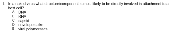 1. In a naked virus what structure/component is most likely to be directly involved in attachment to a host cell? A. DNA B. R