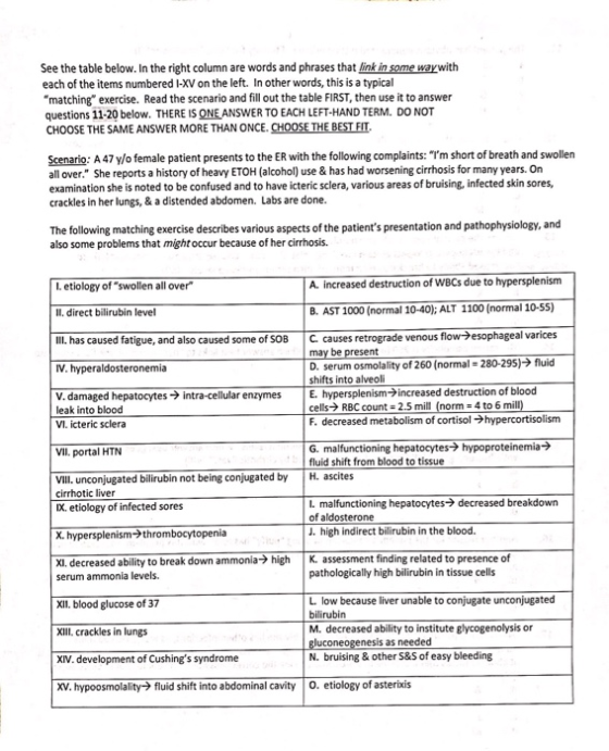 See the table below. In the right column are words and phrases that link in some way with each of the items numbered 1-XV on