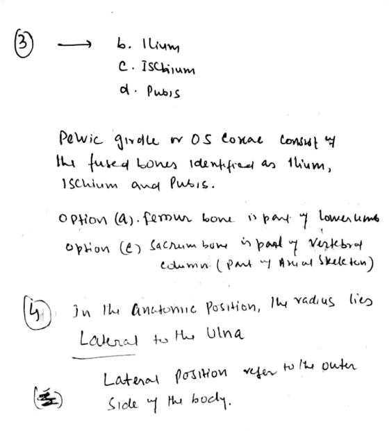 b. llium c. Ischium d. Pubis Pewic girdle wos Corae consist at the fused bones identified as llum, Ischium and Pubis. option
