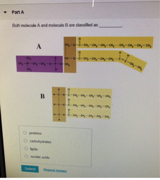 Part A Both molecule A and molecule B are classified as CH-0-c-CH-CH2-CH2CH, CH2 -CH-CH2-CH, CH-o-c-CH-CH- CH, -N-CH-CH2-O-P-