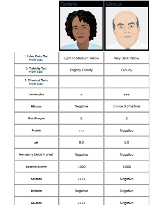 1. Urine Color Test VIEW TEST Light to Medium Yellow Very Dark Yellow Slightly Cloudy Cloudy VIEW TEST 3. Chemical Tests VIEW TEST Nitrates Negative choice 3 (Positive) Urobilinogen 0 0 Protein 8.0 5.0 Hematuria (blood in urine) Negative Specific Gravity 1.000 .000 Bilirubin Negative 1441