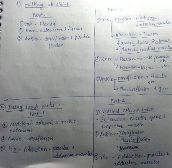 4 yWal King up stairs Part-2 Part- 1 DHip Flexion e Knee-en tension flexion ①Hipp Flexion :-1 libb seat, es muscle flexien faseiae latae, Sertorves Exteusieon- Rectus e ⑤Ankle「Dessflexienうtibial. efc PlantarHuriesea Part -2 ② Dung jump iacki : Part-t ① vertebral column neck Extension: erector hine s extensien 2) Ankle-deutbuien trapezius musele ②) An der. Tesitlenien Plantarthxisn adduetor mscles