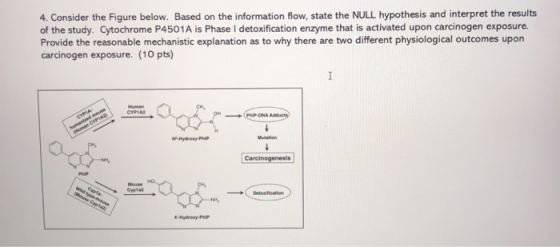 4. Consider the Figure below. Based on the information flow, state the NULL hypothesis and interpret the results of the study