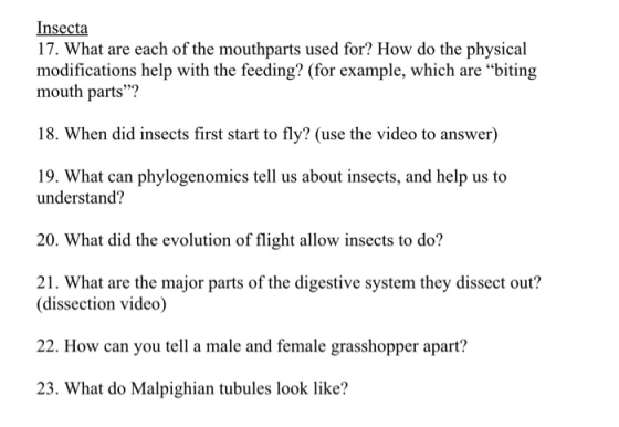 Insecta 17. What are each of the mouthparts used for? How do the physical modifications help with the feeding? (for example,