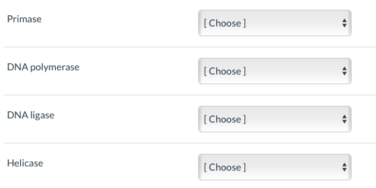 Primase [Choose ] DNA polymerase [Choose] DNA ligase [Choose] Helicase [Choose ]