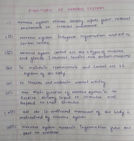 FUNCTIONS OF NERVOUS SYSTEM enviroment or Interna/ -enviro ment Nervous stem In tearate Injerrnation and act as Control Cente eg Lu Newous sustem Contrel a the s types ot m and alan (skeletal, carelia c ,and 3mboth musles maintain Homeostasis and Contol au 11 system thi baly (v) t Stablies and maintain mental activit (vi) The main tunction Neswous system o to or Stimulus ane Receive sensoy In Respond to thal stimelu vii) all the Co-ordinated movement 아th, body n main taine d by Nevous ys tem vii Nervous systerm tansnt in atian hom ome past to anothes