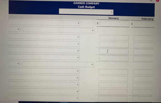 DANNER COMPANY Cash Budget February January $ $ I