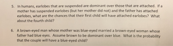 5. In humans, earlobes that are suspended are dominant over those that are attached. If a mother has suspended earlobes (but