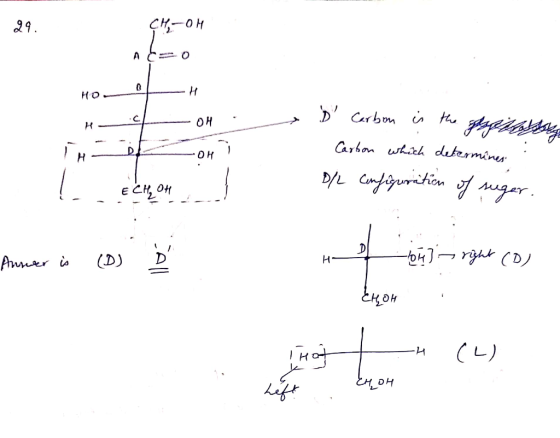 CH, OH HoH OH LH- D Carbon is the great Carbon which determines D/L configuration of suger. Anmer is (os on right (D) Н Еңән