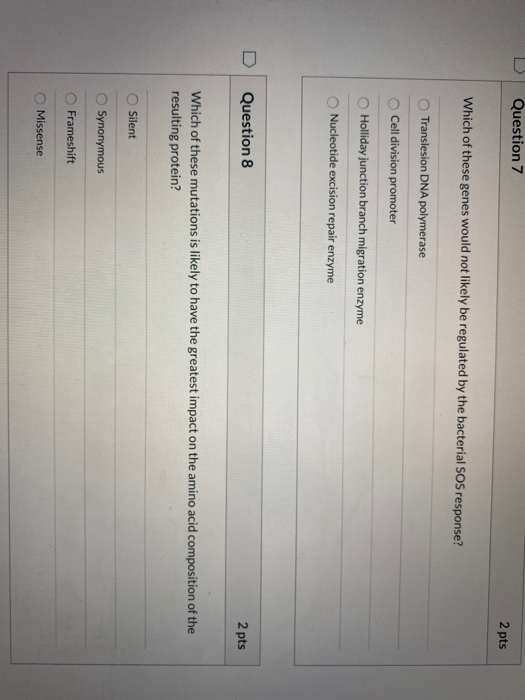 Question 7 2 pts Which of these genes would not likely be regulated by the bacterial SOS response?! Translesion DNA polymeras