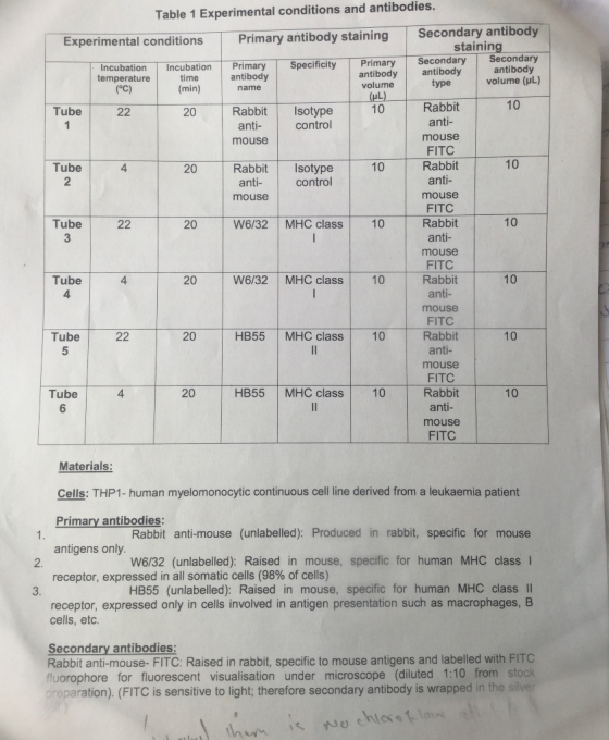 Table 1 Experimental conditions and antibodies. Experimental conditions Primary antibody staining Secondary antibody staining