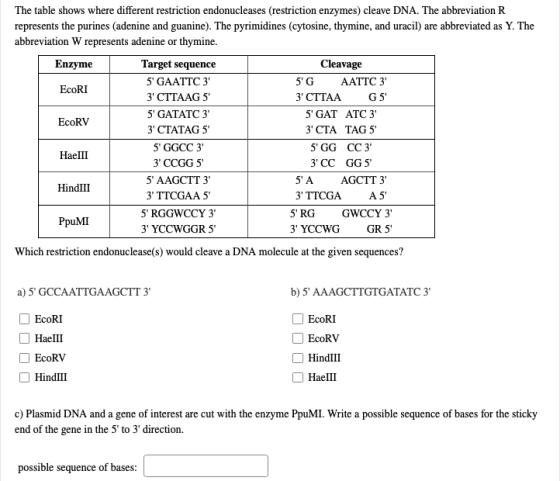 The table shows where different restriction endonucleases (restriction enzymes) cleave DNA. The abbreviation R represents the