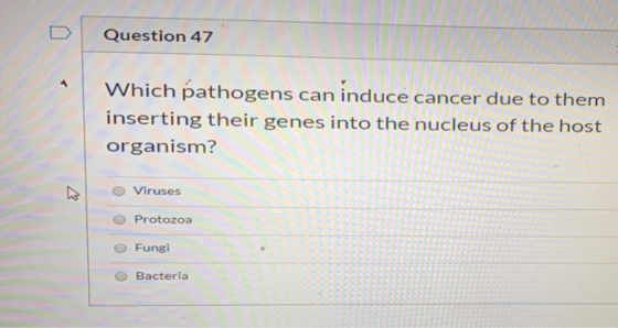 Question 47 Which pathogens can induce cancer due to them inserting their genes into the nucleus of the host organism? O Viru