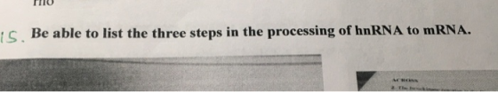 PIU is. Be able to list the three steps in the processing of hnRNA to mRNA.
