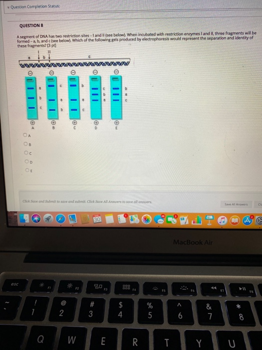 Question Completion Status QUESTIONS A segment of DNA has two restriction sites - I and II (see below). When incubated with r