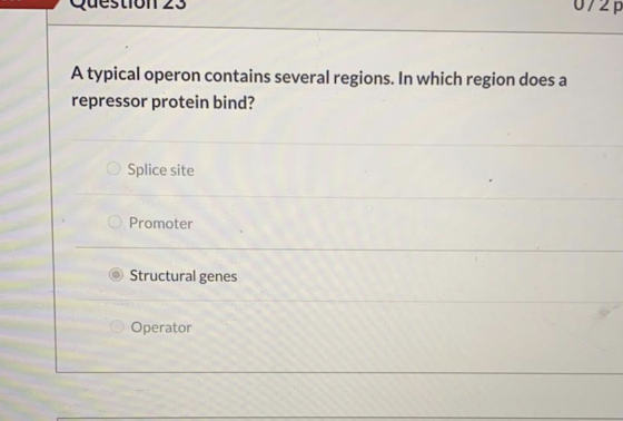 072 P A typical operon contains several regions. In which region does a repressor protein bind? Splice site Promoter Structur