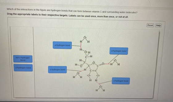 Which of the interactions in the figure are hydrogen bonds that can form between vitamin C and surrounding water molecules? D