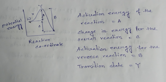 นท potential смог Reaction coordinate Acticeation energy of the reaction - A Change in energy for the overall reaction se Act