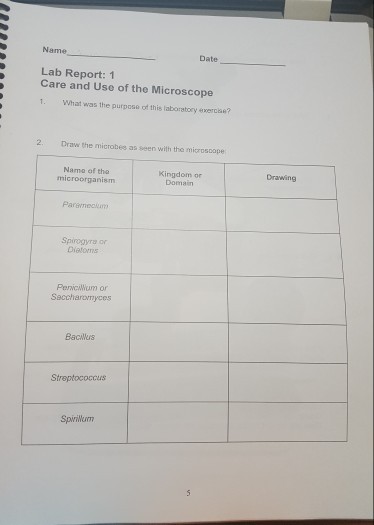 Name Date Lab Report: 1 Care and Use of the Microscope What was the purpose of this laboratory exercae? 2 Draw the microbes as seen with the mioroscope Name of the microorganism Kingdom or Domain Drawing Pareneclum Spirogyra or Diatons PervcWeum or Saccharonyces Bacwus Streptococcus SpwriWurm