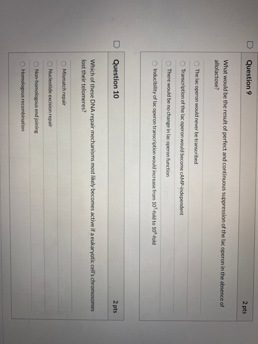 Question 9 2 pts What would be the result of perfect and continuous suppression of the lac operon in the absence of allolacto