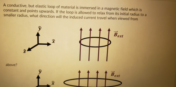 A conductive, but elastic loop of material is immersed in a magnetic field which is constant and points upwards. If the loop