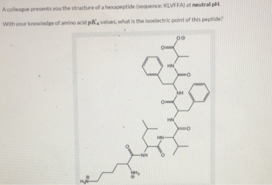 A colleague presents you the structure of a hexapeptide (sequence: KLVFFA) at neutral pH. With your knowledge of amino acid p
