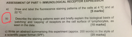 ASSESSMENT OF PART 1 - IMMUNOLOGICAL RECEPTOR EXPRESSIUN a) Draw and label the fluorescence staining patterns of the cells at