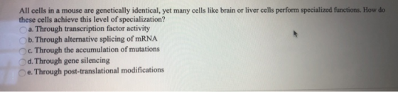 All cells in a mouse are genetically identical, yet many cells like brain or liver cells perform specialized functions. How d