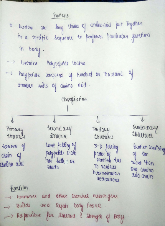 * Becotiens au in a speútic Protiens long chains of amino acid put Together sequence to perform particular junction in body .