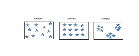 Uniform Clumped Random