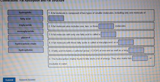 Colecuuls. Pal ADSUI Puuri allu Fat Structure hydrophilic 1. A fat molecule is composed of two types of smaller molecules, in