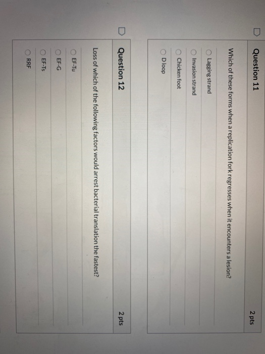 Question 11 2 pts Which of these forms when a replication fork regresses when it encounters a lesion? Lagging strand Invasion