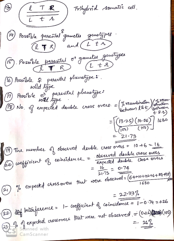 e TR somatic cell It Posible pourtaguneti a T.R) and (Lite) a wild type te (B). Possible parental or gametes genotypes ATD (l