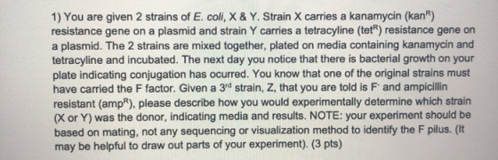 1) You are given 2 strains of E. coli, X & Y. Strain X carries a kanamycin (kan) resistance gene on a plasmid and strain Y ca
