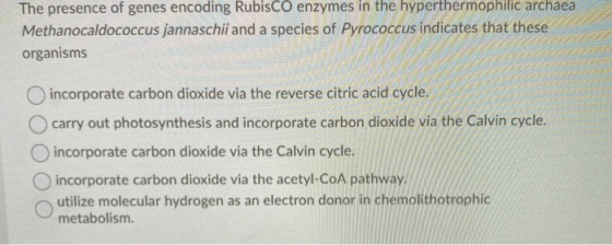 The presence of genes encoding Rubisco enzymes in the hyperthermophilic archaea Methanocaldococcus jannaschii and a species o