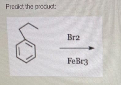 Predict the product: Br2 FeBr3
