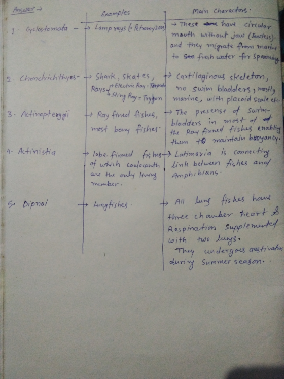 Examples Man Charactors Lamp reys e Rmmauth without jaus (ourkess) and they migrate fem marin to Sea fresh uotey for Spat 2. Chenchichthyes-ャShark, skates,やCantilagincul skeleton Ras tElechni Ray Ted ne swm blodders mostly shes, t→ The pres en sf of Surm- bladders in าท ost of of Actin isha ャlobe-fime of uhich coelecauth link betuen shes anef are thue only Amphibians 5 Dipnoi Lunghshes three ch anber heart 8 Respinatiom Supple nte! with tuo luys