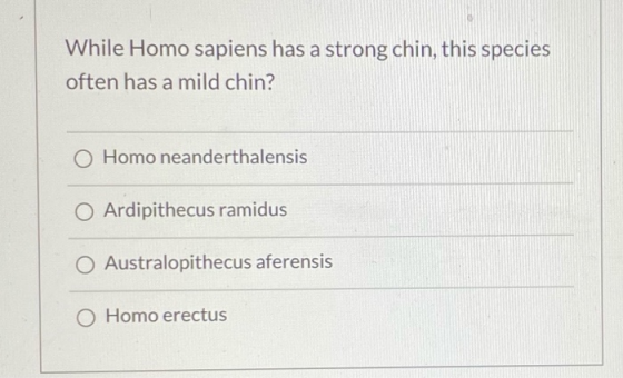 While Homo sapiens has a strong chin, this species often has a mild chin? O Homo neanderthalensis Ardipithecus ramidus O Aust