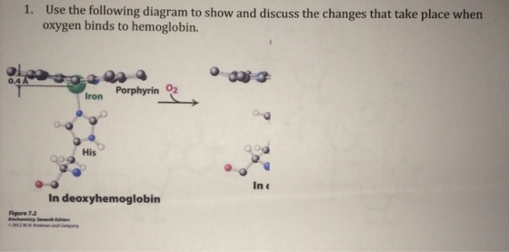 Use the following diagram to show and discuss the