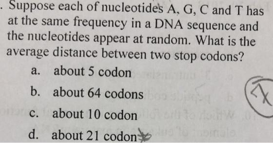 Suppose each of nucleotides A, G, C and T has at the same frequency in a DNA sequence and the nucleotides appear at random. What is the average distance between two stop codons? a. about 5 codon b. about 64 codons c. about 10 codon d, about 21 codon