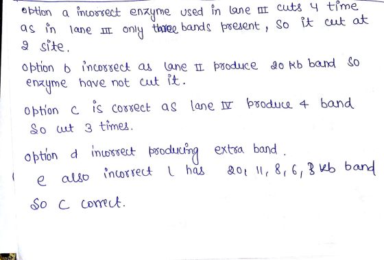 obtion a incorrect enzyme used in cane n cuts y time as in lane I only three bands present, so it cuit at 2 site. option b in