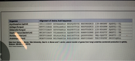 Organism Alignment of Amino Acid Sequenc Acyrthosiphon (aphid) IKITTIGSGV GOTA MARLS KKGFOVEVYE KNSYNGGRCS TIR-HNGHRP DOGPSLE