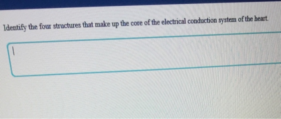 Identify the four structures that make up the core of the electrical conduction system of the heart.