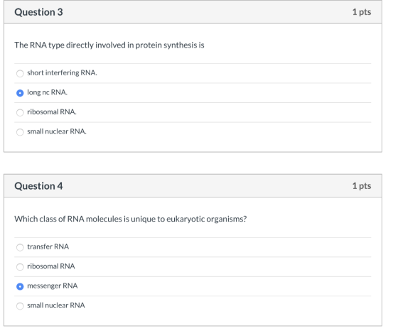 Question 3 1 pts The RNA type directly involved in protein synthesis is short interfering RNA. long nc RNA. ribosomal RNA. sm